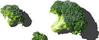 Ingredient - Broccoli