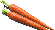 Ingredient - Carrots